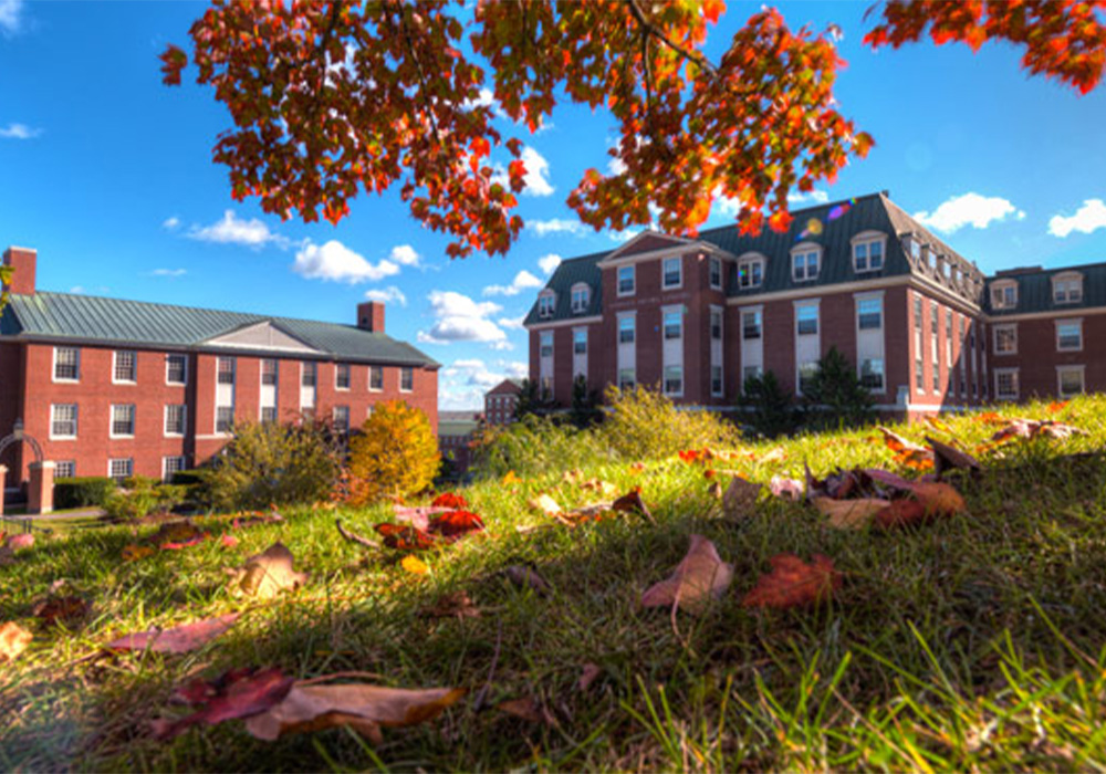 Brick campus buildings under a blue sky with scattered clouds, surrounded by trees with autumn leaves. Fallen red and orange leaves cover the grassy hill in the foreground.