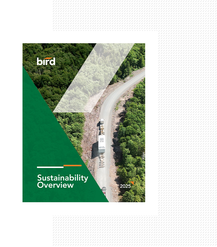 A report cover titled Sustainability Overview 2025 by Bird features an aerial view of a truck driving on a winding road surrounded by dense green forest. Geometric green shapes overlay part of the image.